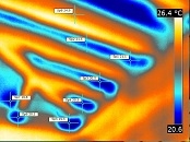 Das Bild einer Thermografie-messung